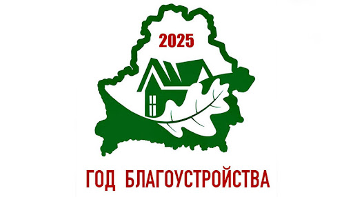 Год  благоустройства 